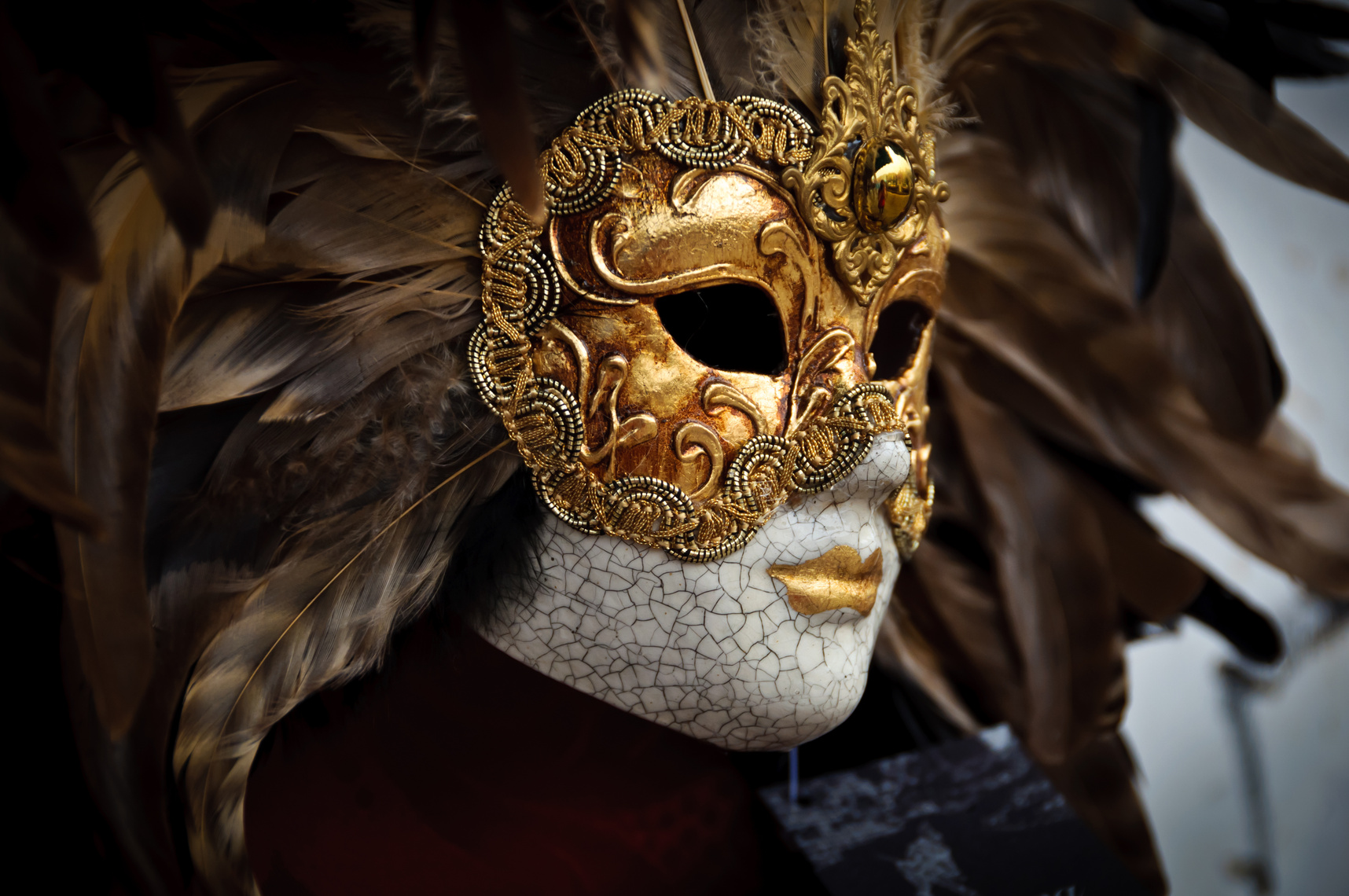 Venetian Masquerade Mask closeup